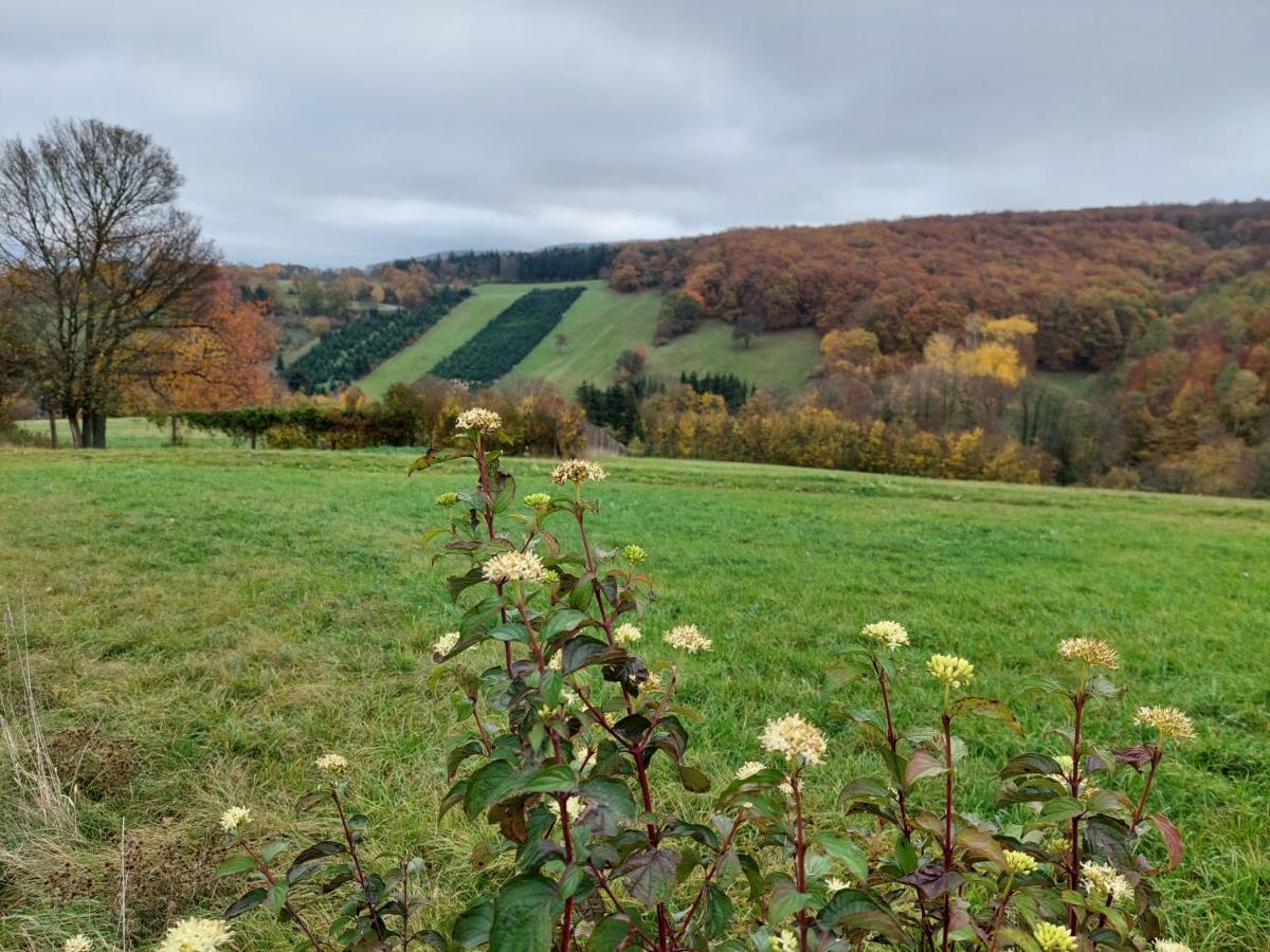 Pension Welserhof Wilfersdorf  Eksteriør billede